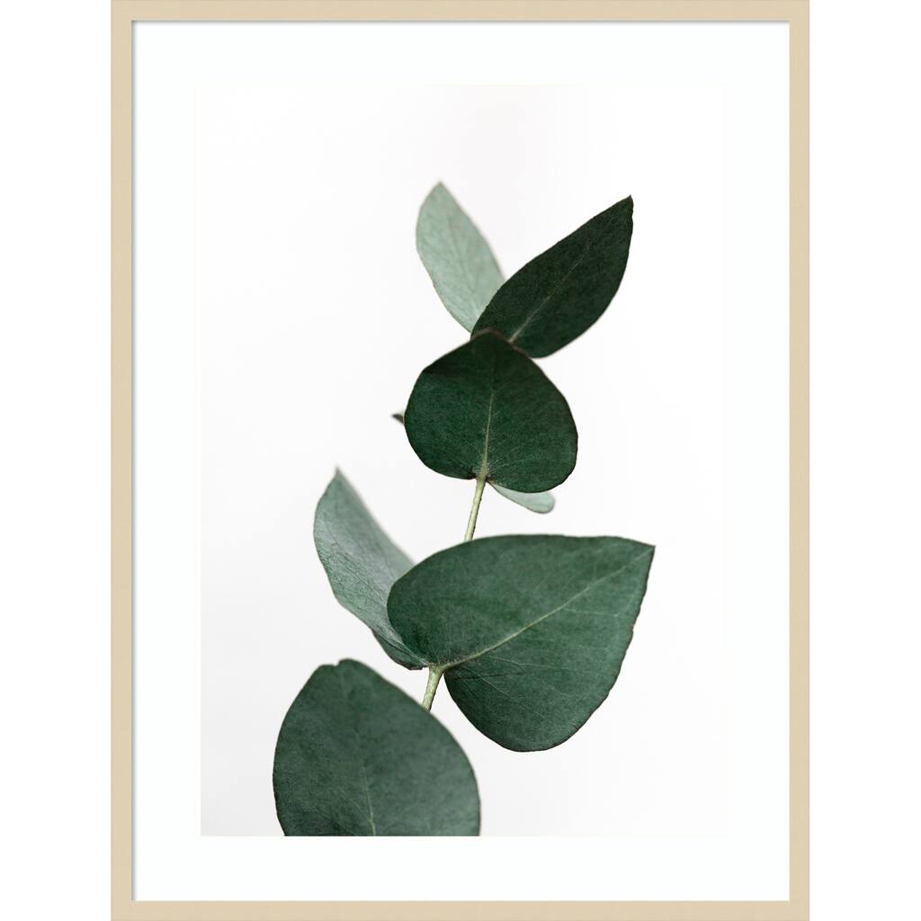 Eucalyptus 4 A1 by Mareike Bohmer Wood Framed Wall Art Print
