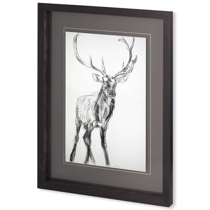 Young Elk Framed Art Print