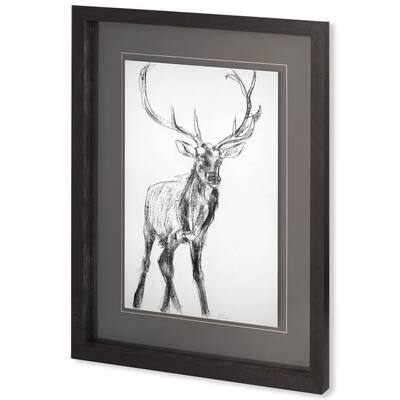 Young Elk Framed Art Print
