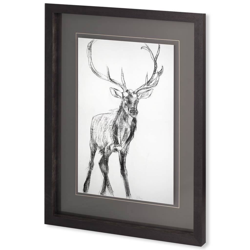 Young Elk Framed Art Print