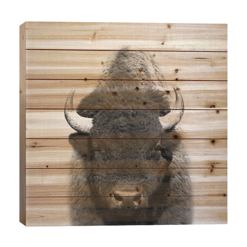Buffalo In Black & White Print On Wood by Gal Design - Multi-Color - 26x26x1.5