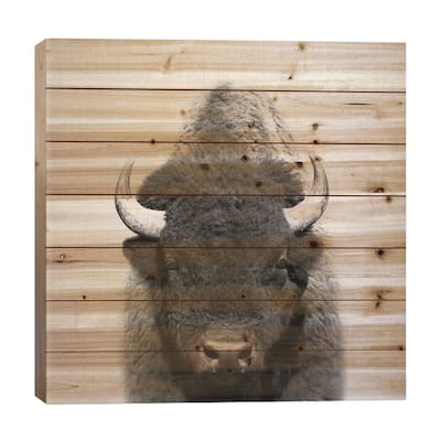 Buffalo In Black & White Print On Wood by Gal Design - Multi-Color