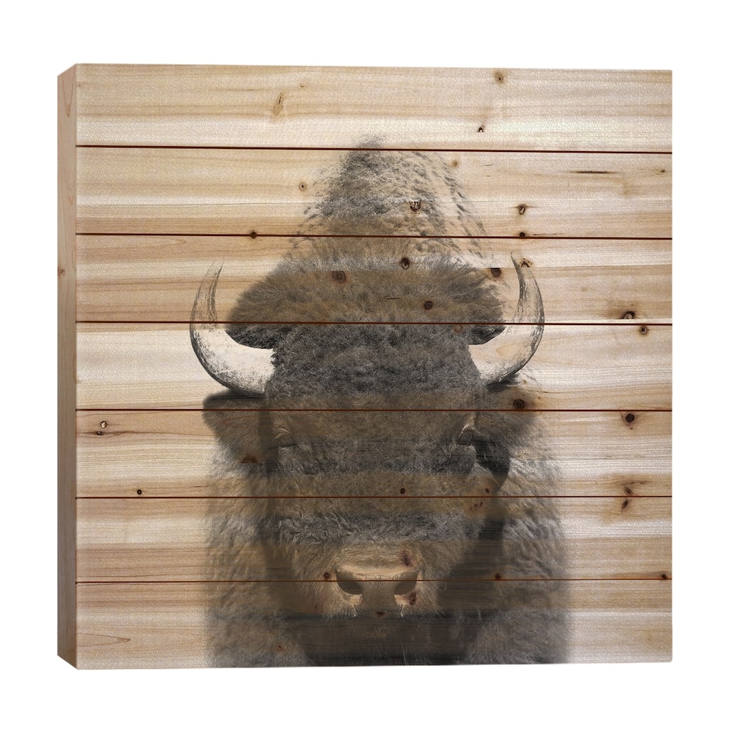Buffalo In Black & White Print On Wood by Gal Design - Multi-Color