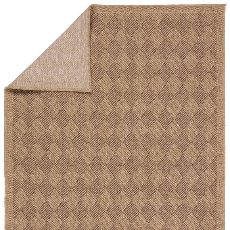 Amanar Indoor/Outdoor Tribal Area Rug