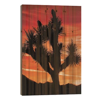 Joshua Tree Views VI Print On Wood by Rachel Perry - Multi-Color