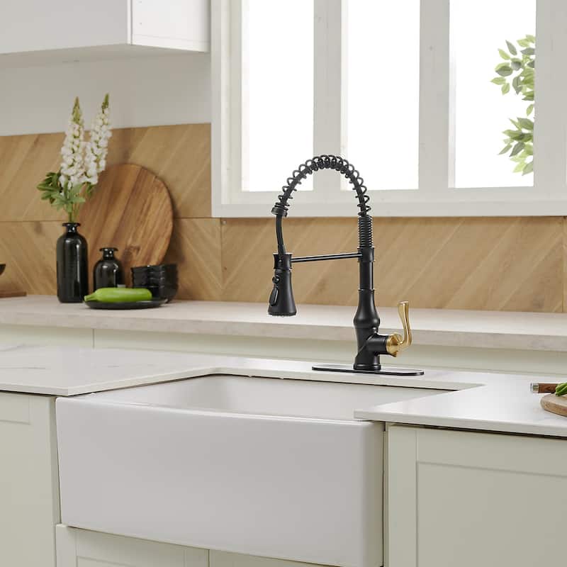 WIZ Single-Handle Pull-Down Sprayer 3 Spray High Arc Kitchen Faucet