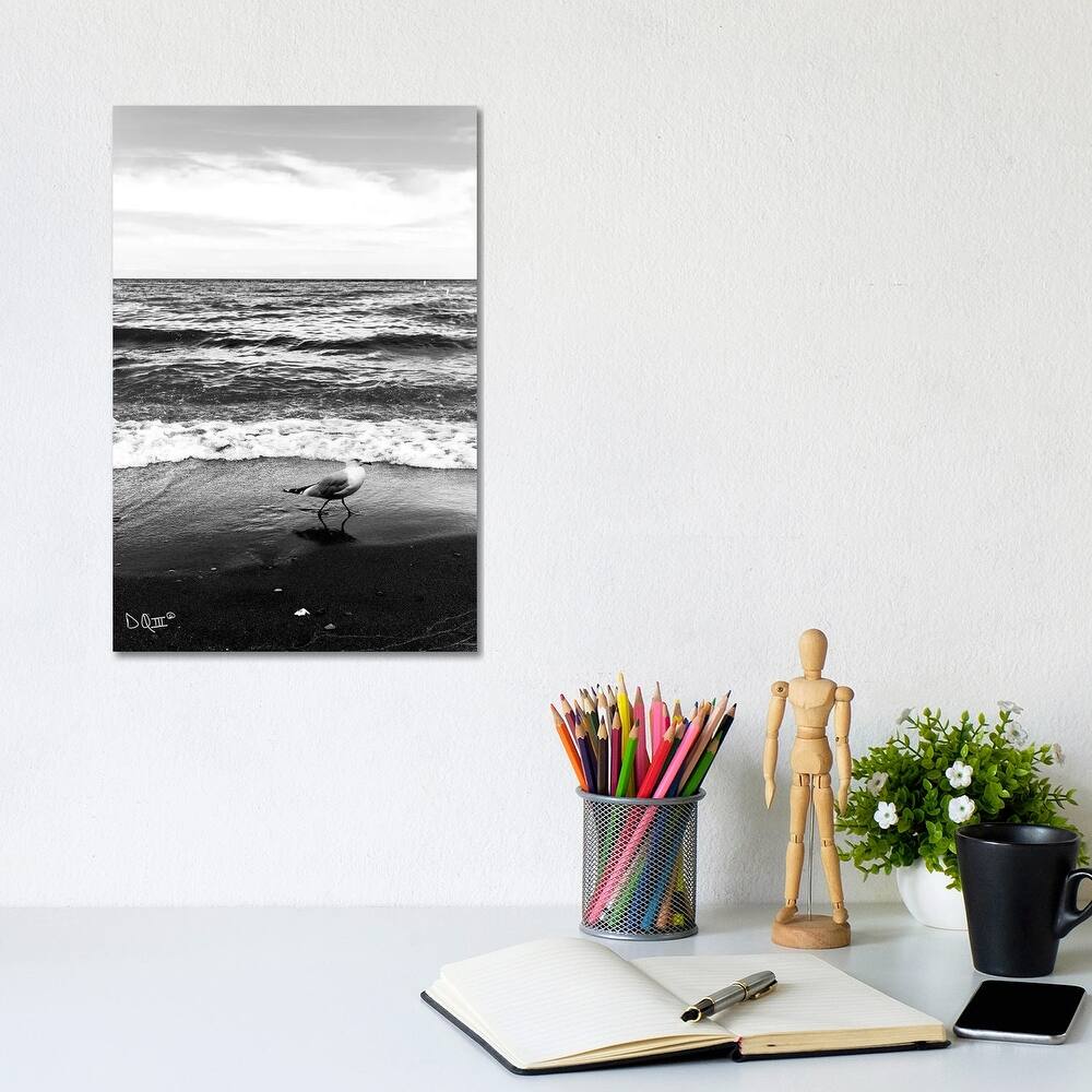 iCanvas "Seagull I" by Donnie Quillen Canvas Print