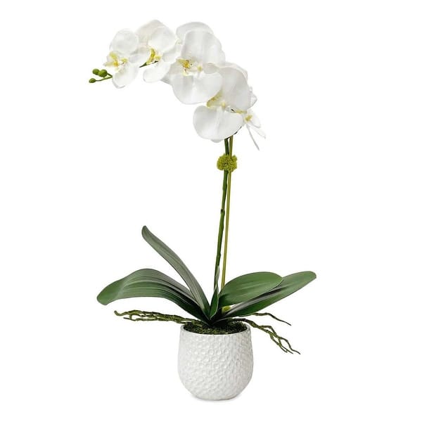 slide 2 of 4, Uttermost 60178 Cami Orchid 24" Tall Ceramic Faux Flora Planter White
