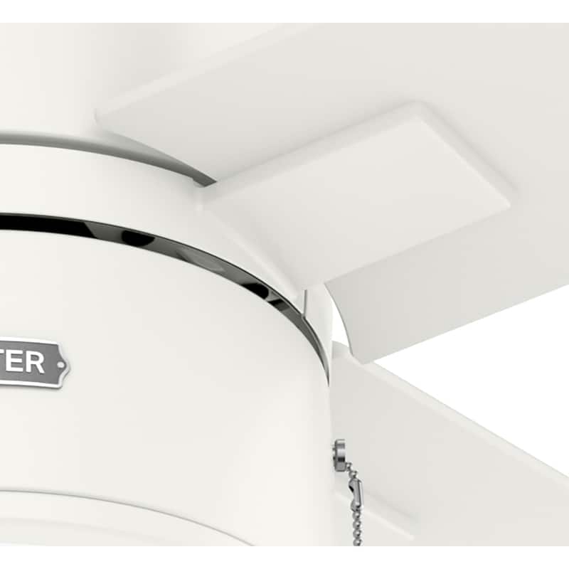 Hunter 52" Beck Ceiling Fan with LED Light Kit and Pull Chain - Transitional, Modern, Farmhouse