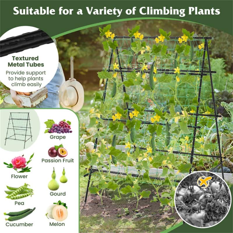 Black PE-Coated Metal A-Frame Garden Trellis with Netting Support - 41" x 51" x 59" (L x W x H)