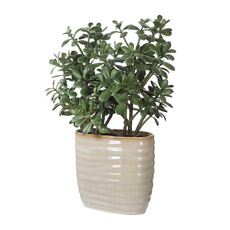 Jade Crassula Artificial plant with Ceramic Pot - 23.5" - Green and Beige