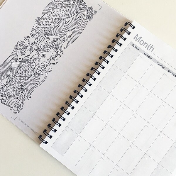 Action Publishing Undated Coloring Day Planner - Free Shipping On ... Action Publishing Undated Coloring Day Planner - Free Shipping On ...