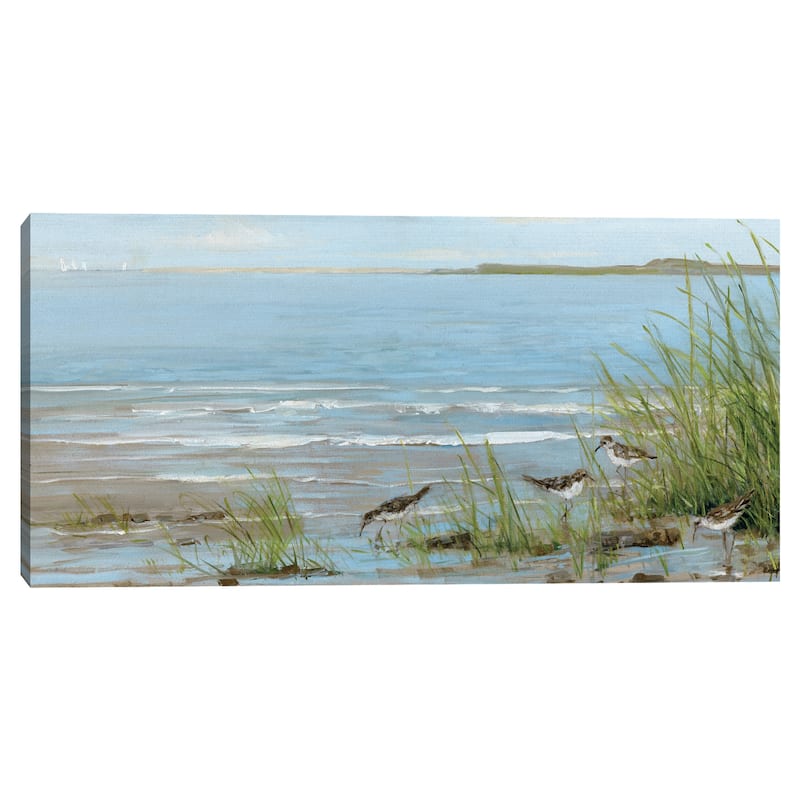 Sandpiper Beach by Sally Swatland Canvas Art Print