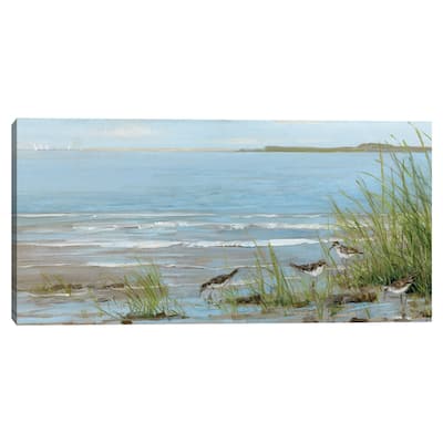 Sandpiper Beach by Sally Swatland Canvas Art Print