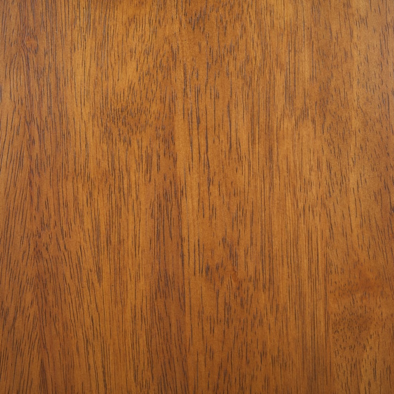 SAFAVIEH HOME Coralyn Caprail Dining Chair (Set of 2) - 17"W x 20"D x 34"H