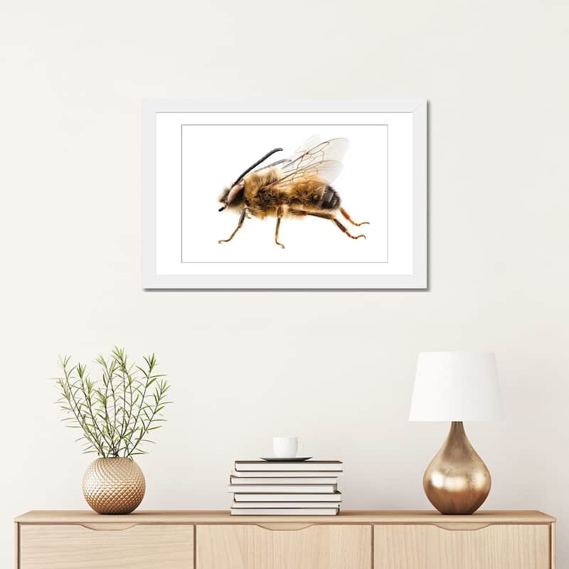 iCanvas "Bee Species Eucera Longicornis Common Name Solitary Miner Bee" by Paul Rommer