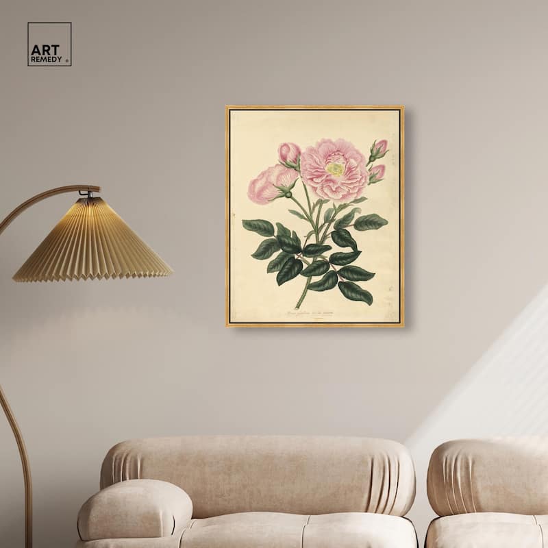 French Rose Canvas by Art Remedy