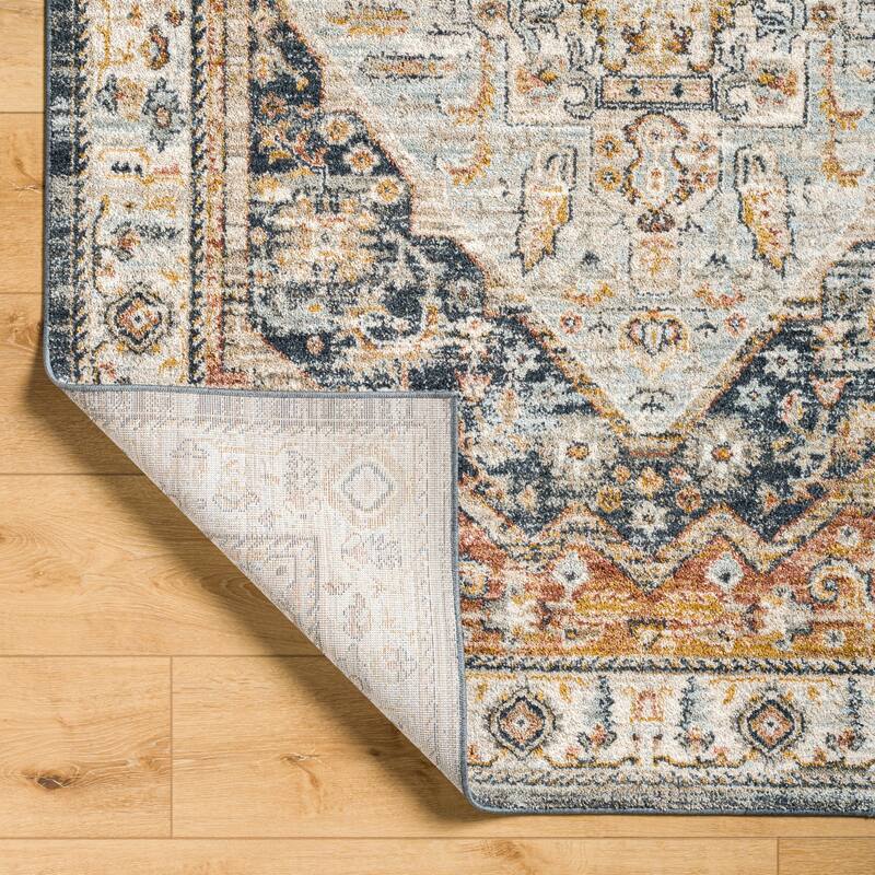 Beckham Traditional Medallion Area Rug