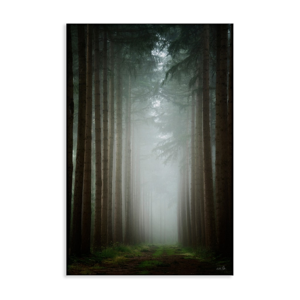 Stupell Moonlight Through Dark Forest Canvas Wall Art Design By Martin Podt
