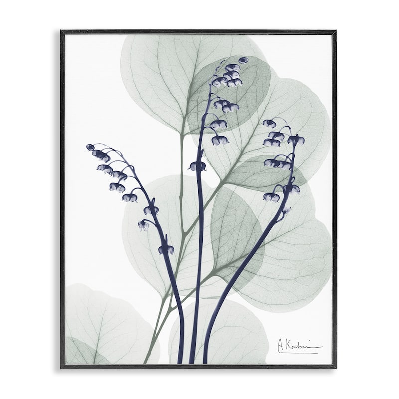 Stupell Serene Modern Eucalyptus Framed Giclee Art Design By Albert Koetsier - 24 x 30 - Black