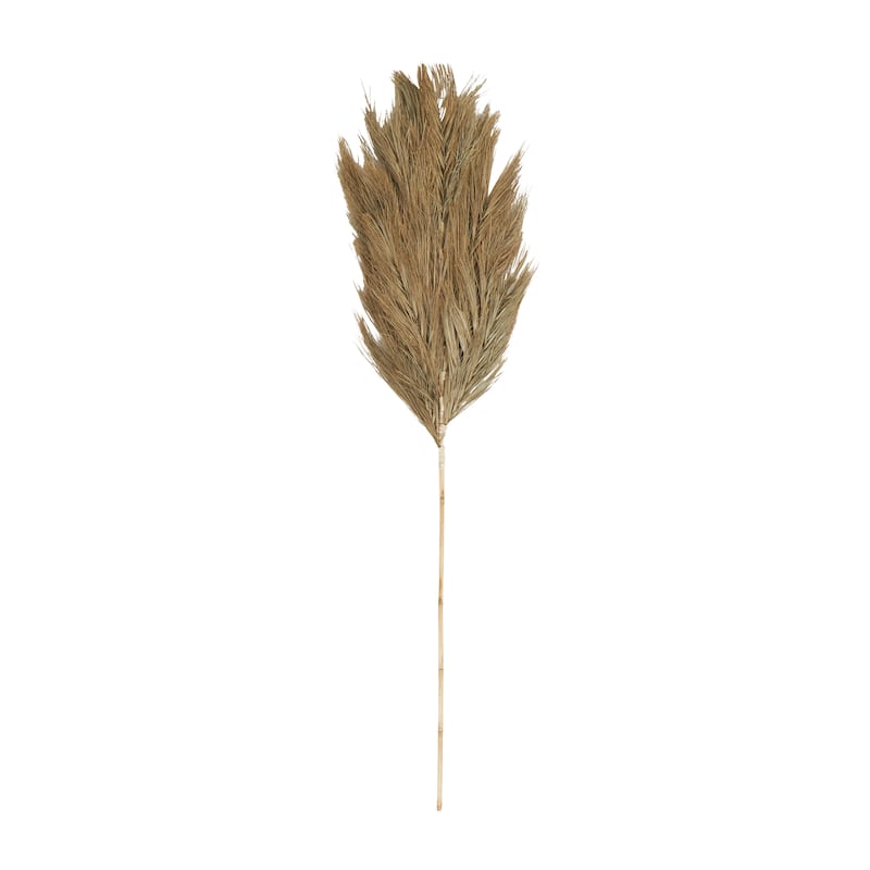 Brown Dried Plant Tall Palm Leaf Home Decor Natural Foliage