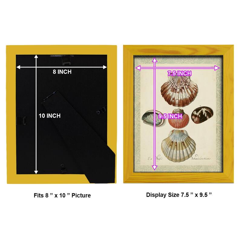 Bookplate Shells III -Framed Print w/glass-Cherry Red
