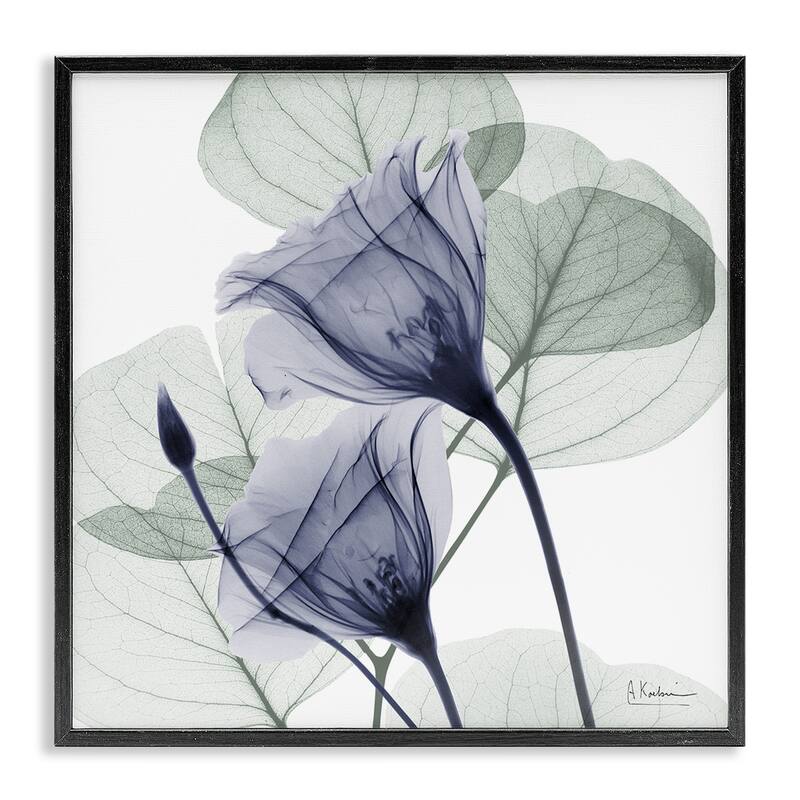 Stupell Serene Tulips & Herbs Framed Giclee Art Design By Albert Koetsier - 17 x 17 - Black