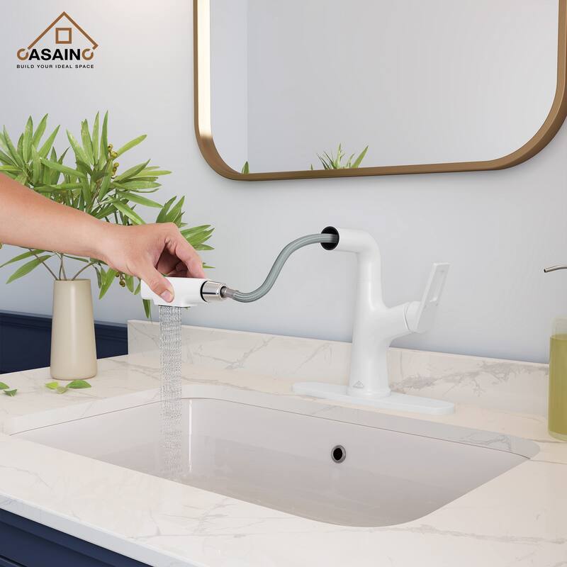 Single Handle Pull Out Sprayer Kitchen Faucet with Advanced Spray