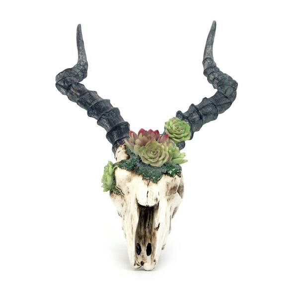 Aged Finish Kudu Antelope Skull With Succulent Plants Wall Mounted - Overstock - 34720078 Aged Finish Kudu Antelope Skull With Succulent Plants Wall Mounted - Overstock - 34720078