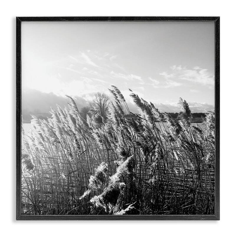 Stupell Tall Grass Lake Water Landscape Black White Photography Framed Wall Art - 12 x 12 - Black