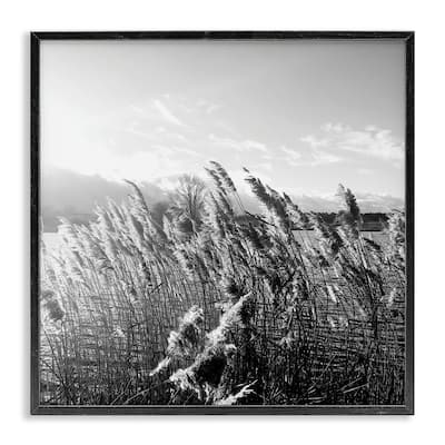 Stupell Tall Grass Lake Water Landscape Black White Photography Framed Wall Art