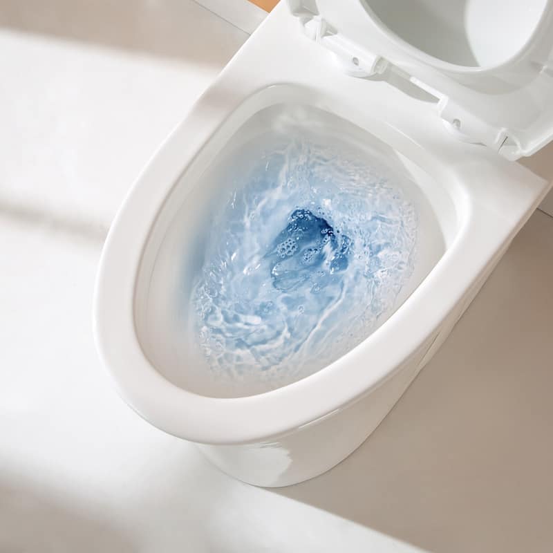 HOROW 1 Piece Dual Flush Elongated Toilet White 0.8 1.28 GPF Seat Included