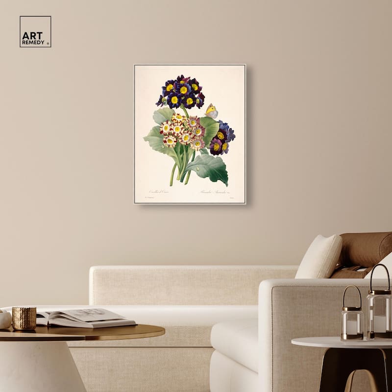 Auricula Varieties Canvas by Art Remedy