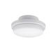 Option Matte White Marine