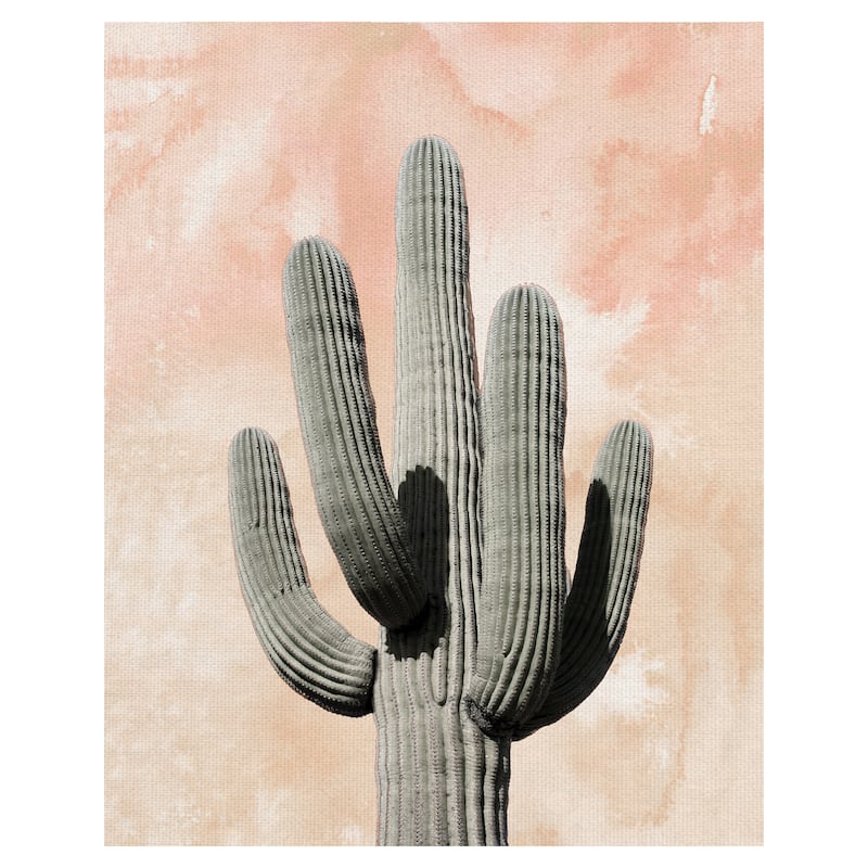Desert Wash Coral II Canvas Art Print