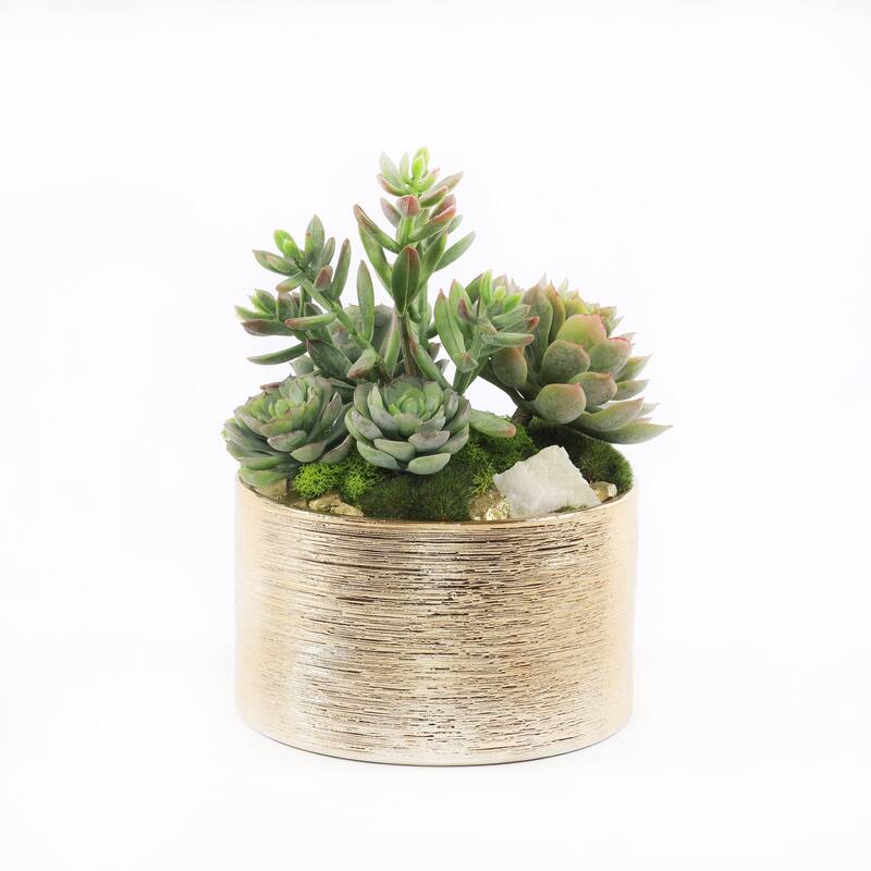 Faux Sedum & Succulent Arrangement in Etched Golden Pot - Green