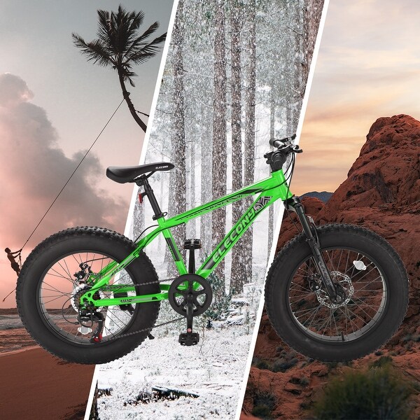 20 Inch Fat Tire Bike Adult/Youth Full Shimano 7 Speed Mountain