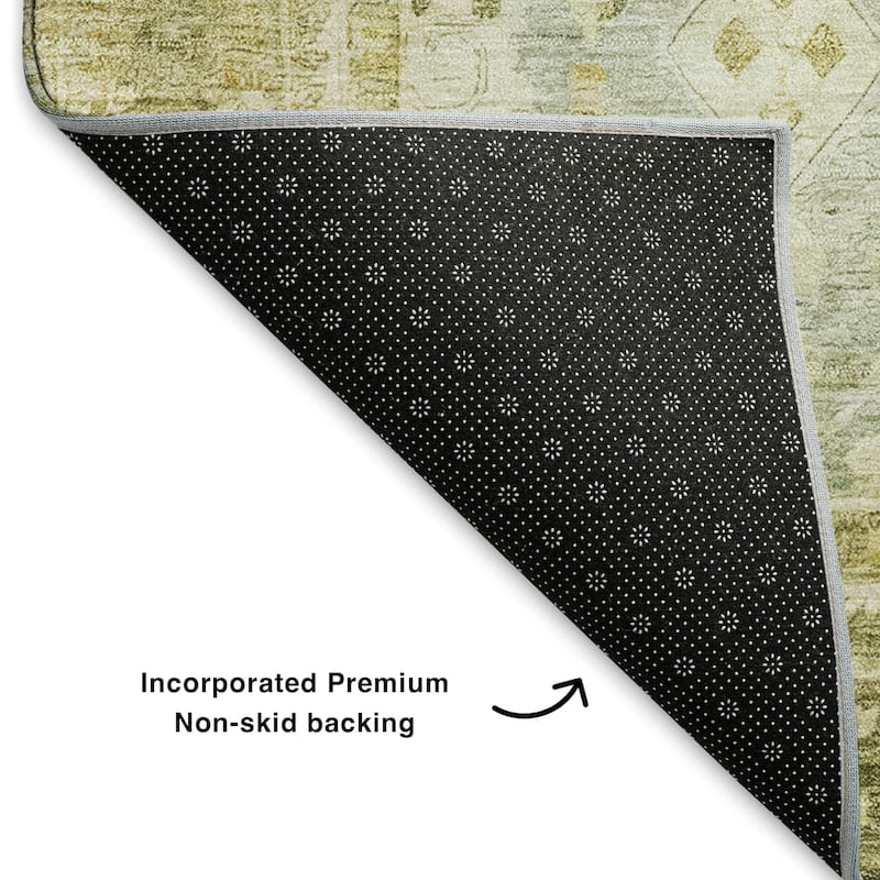 Premium Washable Super Soft Vintage Traditional Mayfield Rug