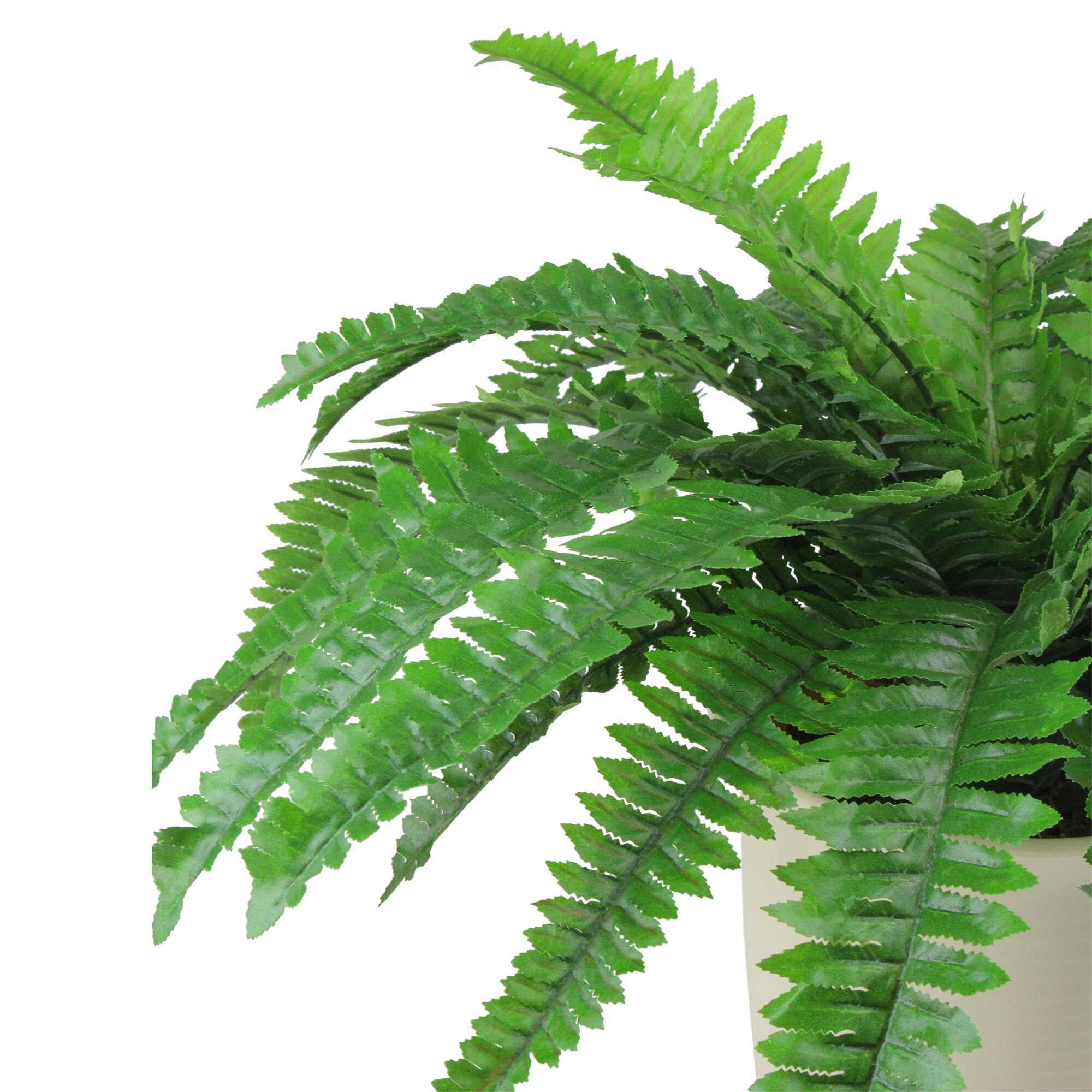 Shop Black Friday Deals On 21 Green And Cream White Boston Fern Artificial Potted Plant On Sale Overstock 16542665