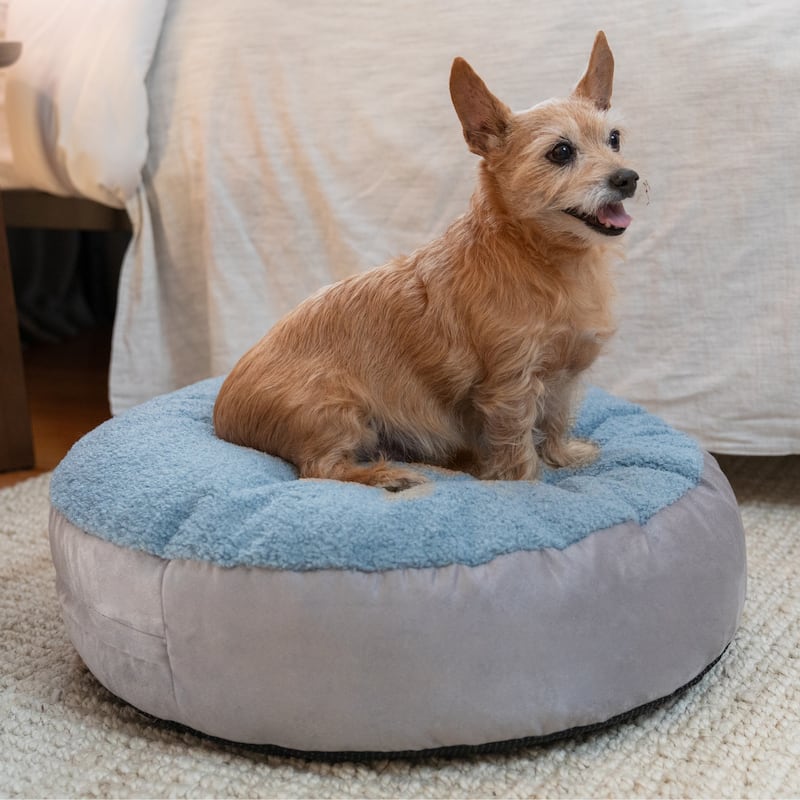Jaxx Robbi Dog Bed Premium Synthetic-Fur Memory Foam Bean Bag Bed - Small - Blue / Grey