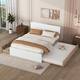 Option Oak