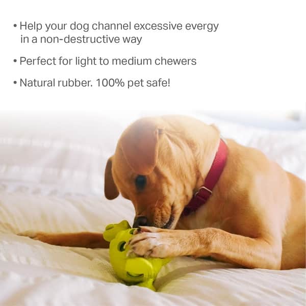 adjustable r dog stand with bowl adjustment Adjustable Comfort Pet Bowl Stand – Hendo's Pet Store main image 0