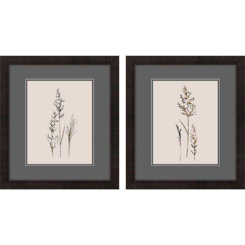 Delicate Stems S/2 Framed Art Under Glass - 17 X 15 X 1