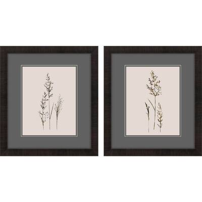 Delicate Stems S/2 Framed Art Under Glass