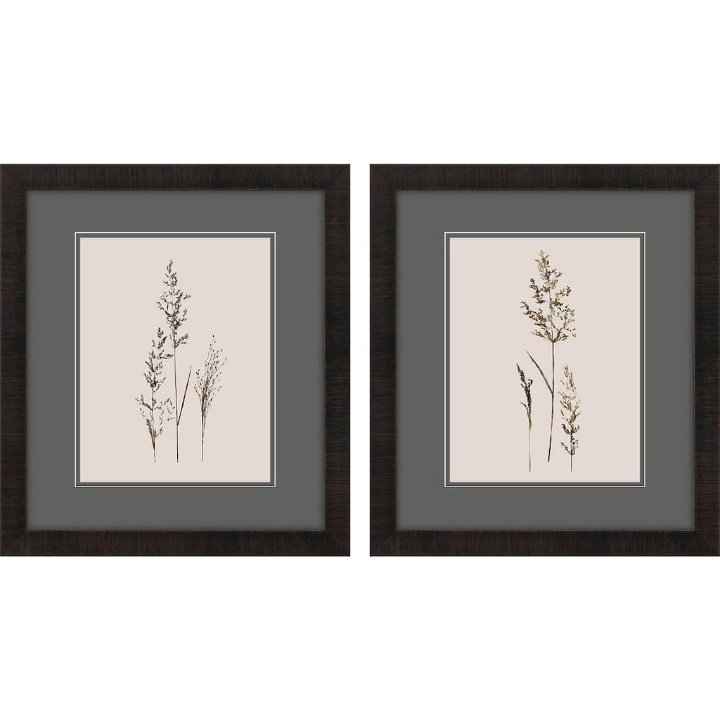 Delicate Stems S/2 Framed Art Under Glass