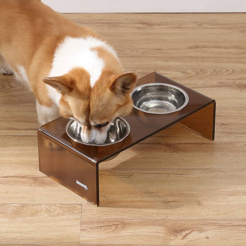 Keaton 5" Small/Medium Modern Lucite Rectangular Elevated Pet Feeder with 20oz 2-Stainless Steel Bowls