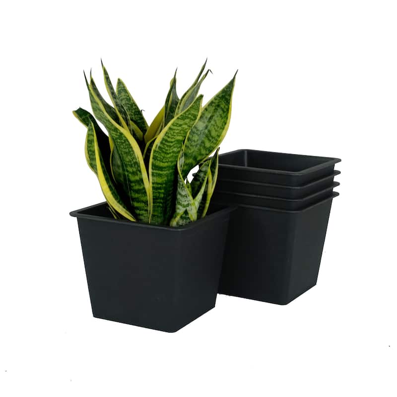 DTY Signature 5"Nursery Plant Pot - Garden Plastic Pots with Drainage (5-Pack)