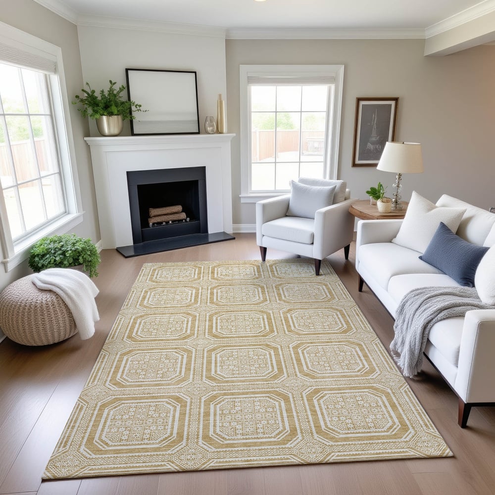 Premium Washable Super Soft Classic Panel Mayfield Rug