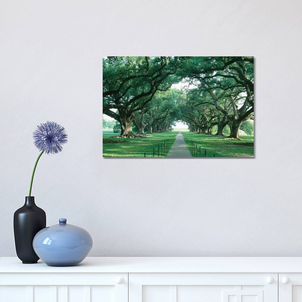 iCanvas "Brick Path Through Alley Of Oak Trees, Louisiana, New Orleans, USA" by Panoramic Images Canvas Print