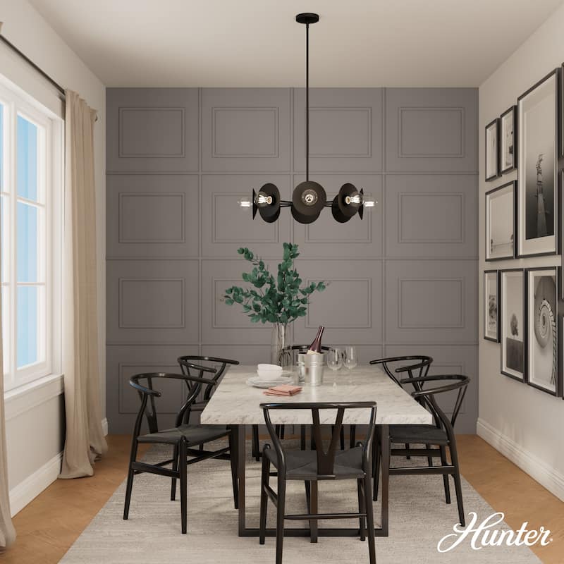 Hunter Fernando Black 8-Light Chandelier - Dining Room, Bedroom, Living/Great Room, Foyer - Modern, Abstract - Designer!